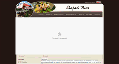 Desktop Screenshot of bias.com.pl
